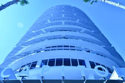 DSC_6939 (Large).JPG